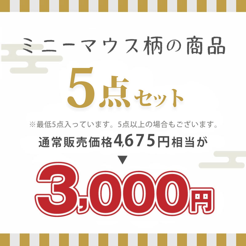 ミニー福袋3000円