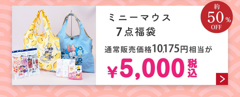 ミニーマウス8点福袋5,000円