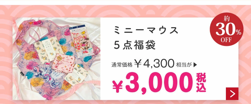 ミニーマウス5点福袋3,000円